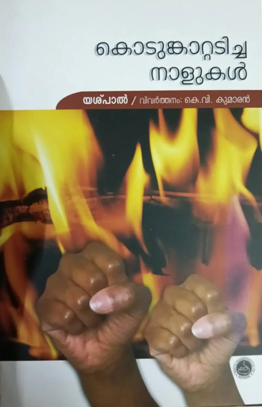 കൊടുങ്കാറ്റടിച്ച നാളുകൾ cover